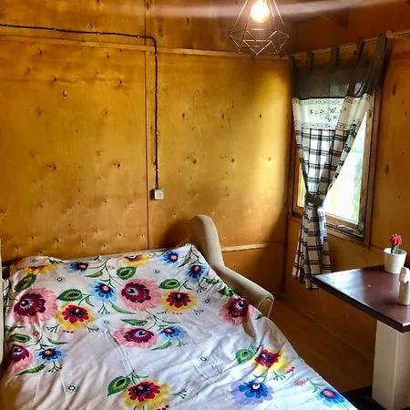 Apartment Kaszubski Loft Z Wlasnym Stawem Rybnym *